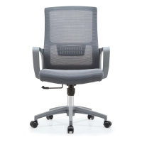 Office Chair Mesh Ergo Lowback Premium Edition in Breathable Mesh