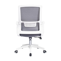 Mesh Ergo Lowback Office Chair in Fiber Mesh